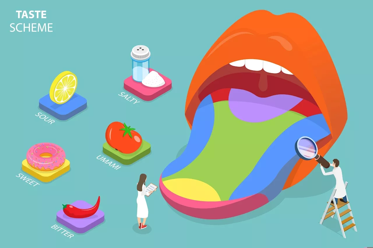 Machine learning-based taste predictor developed for identifying bitter, sweet, and umami from other taste sensations