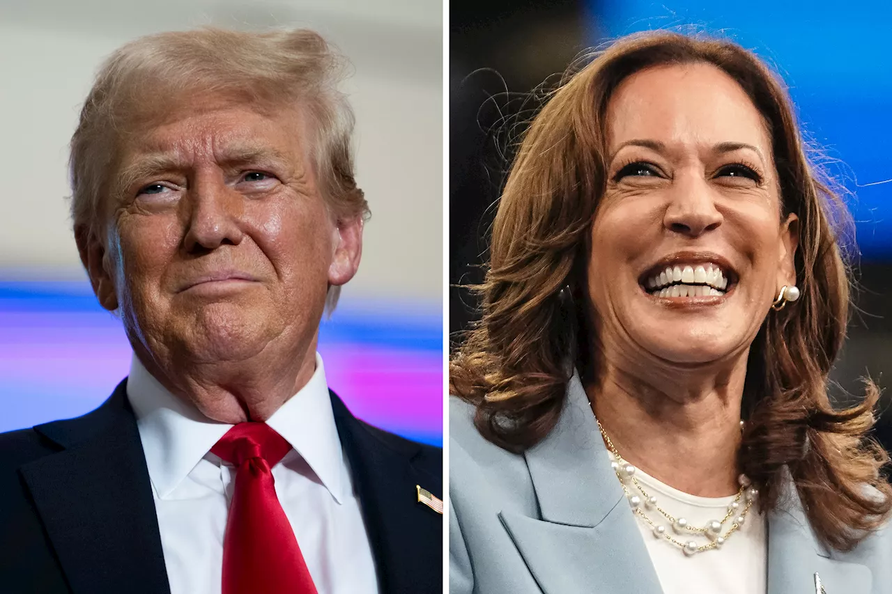 Chart Shows How Kamala Harris and Donald Trump Favorability Has Changed