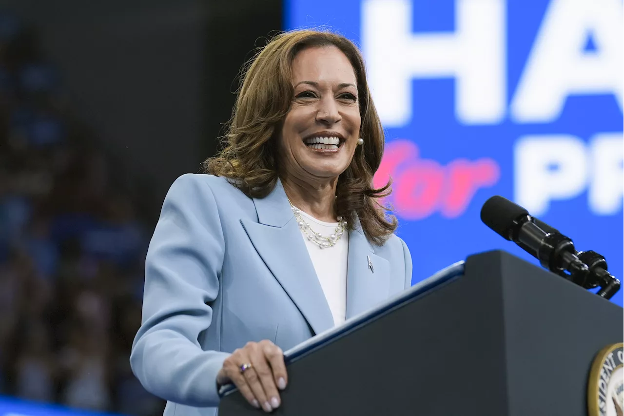 Kamala Harris Hits Back At Trump After 'Border Czar' Immigration Attacks