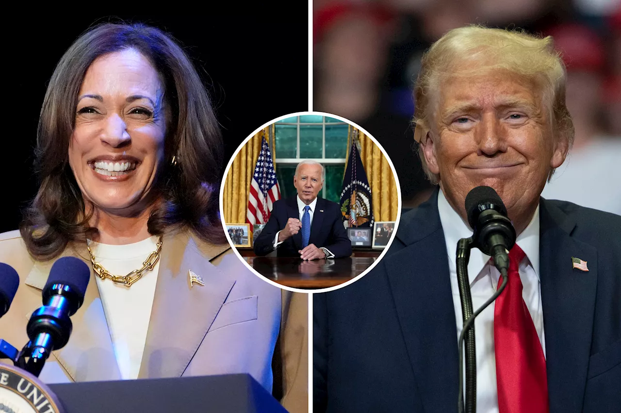 Kamala Harris Overtakes Donald Trump as Top News Topic, Tech Firm Reports