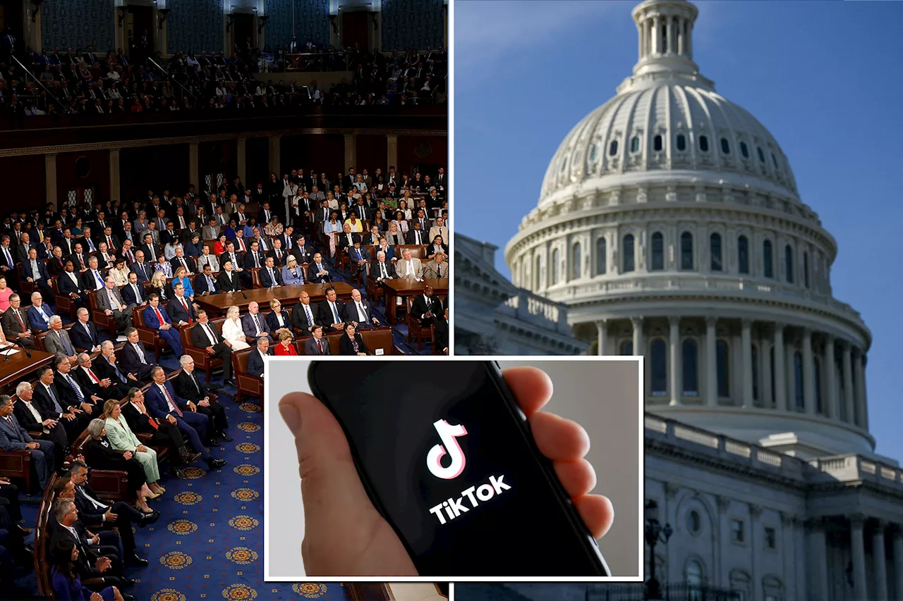 House lawmakers to block all ByteDance products – including TikTok