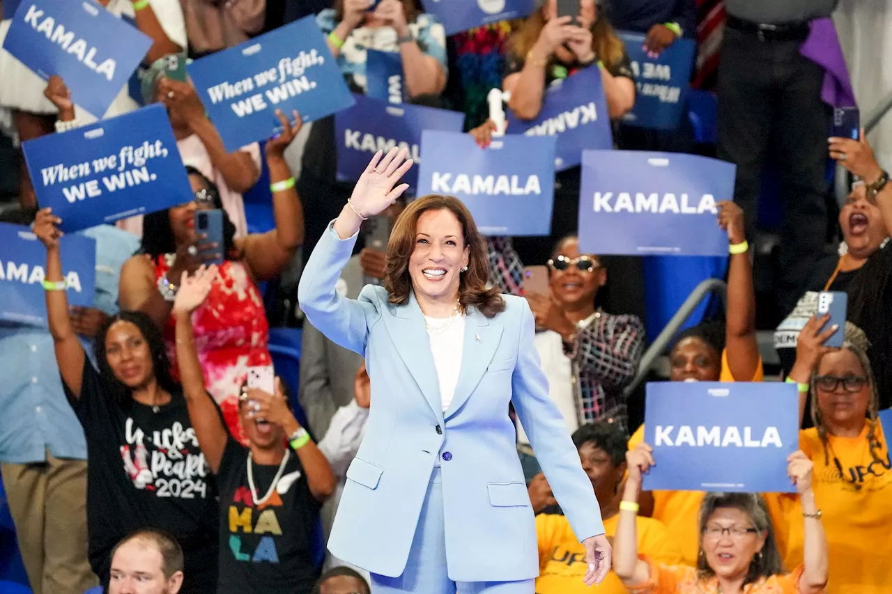 Kamala's equity crusade would punish her 'white dude' supporters if she wins the White House