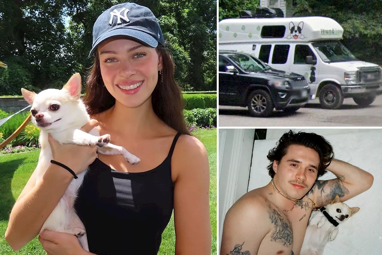 Nicola Peltz-Beckham alleges NY dog groomer with history of 'malicious abuse' killed beloved pooch Nala: court docs