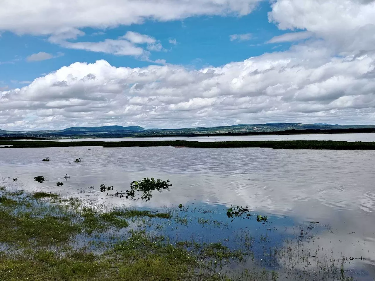 Recuperación de la Presa Allende da esperanza a comunidades de San Miguel de Allende