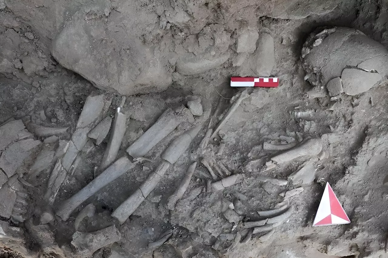 Woman buried 12,000 years ago in Turkey may have been a shaman