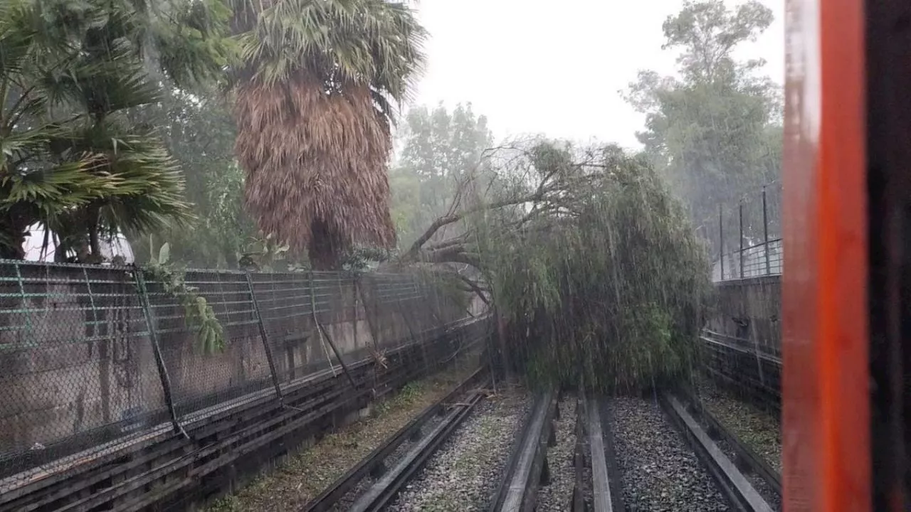 Metro se impacta contra árbol en la Línea 5 y conductora resulta herida