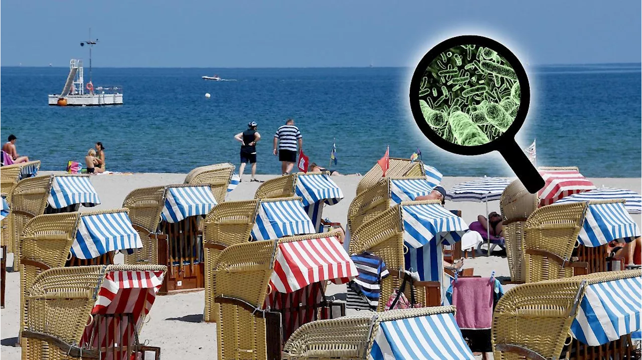 Vibrionen-Gefahr an Ostsee und Nordsee: An diesen Symptomen erkennt ihr eine Infektion