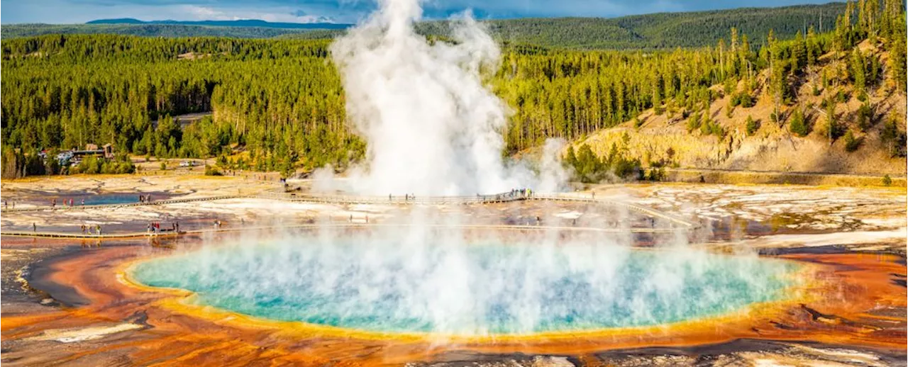 Whole New Group of Methane-Burping Microbes Discovered in Yellowstone Springs