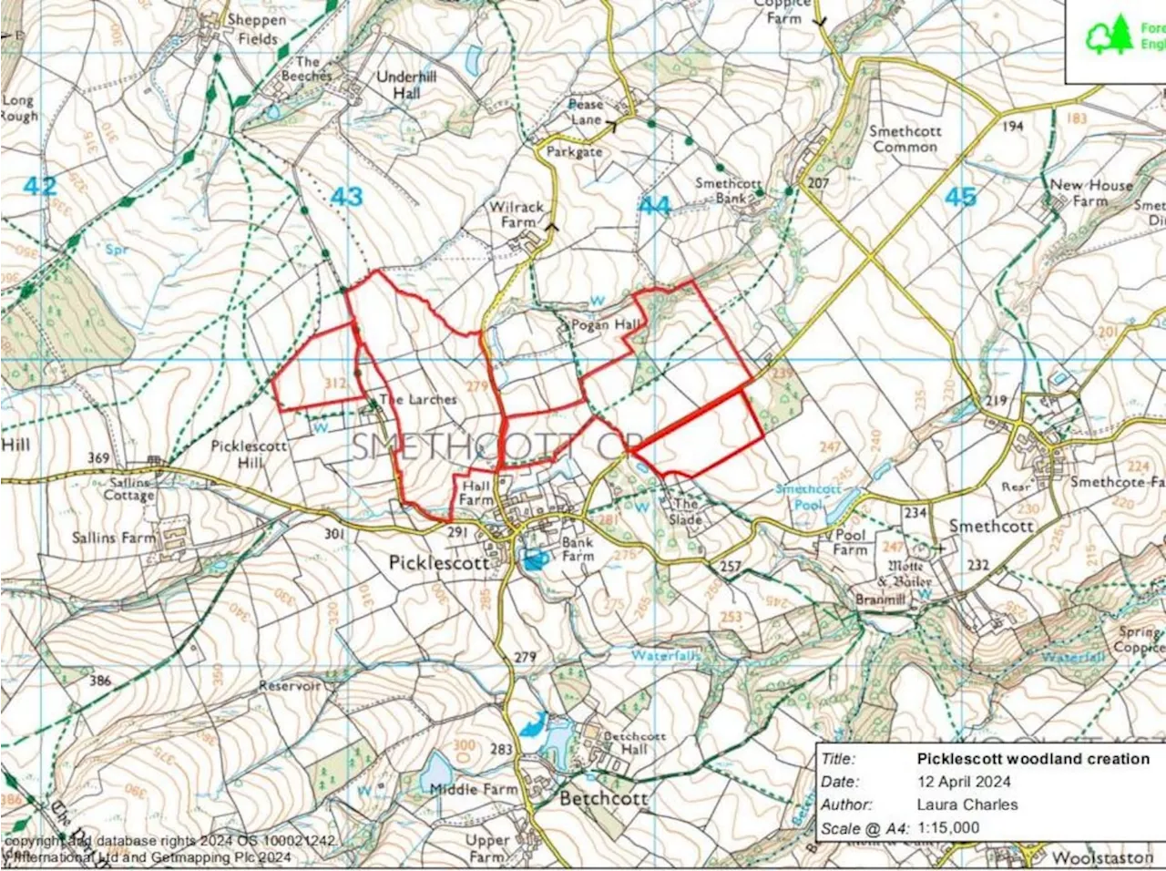 Concerns consultation deadline is 'too soon' after concerns raised over new woodland