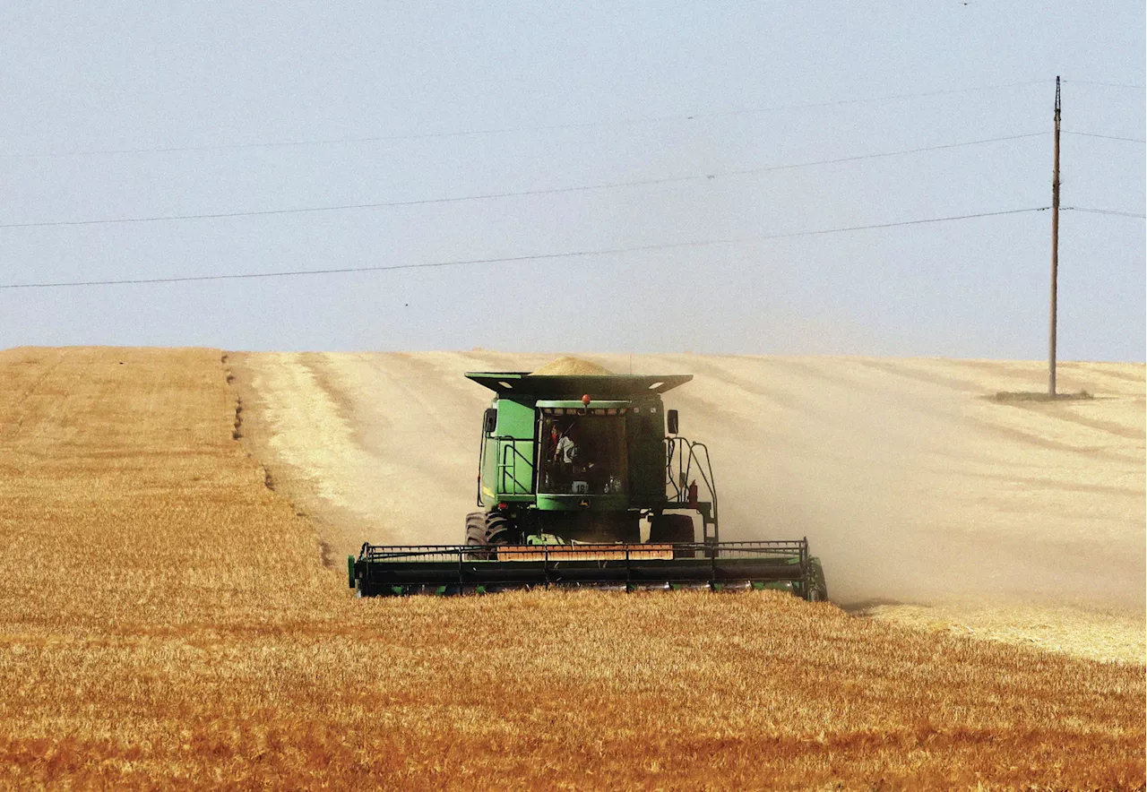 CAP diz estar solidária com os produtores de cereais