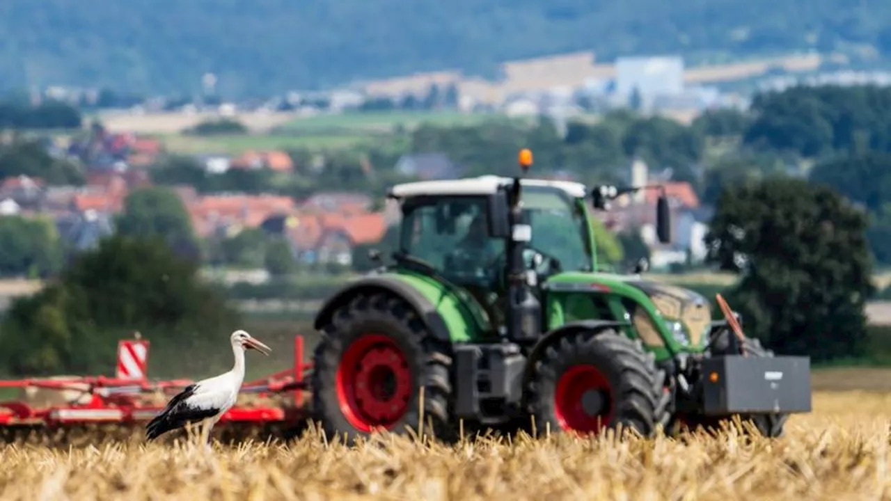 Landwirtschaft: Bauernverband: Geringe Erträge erwartet