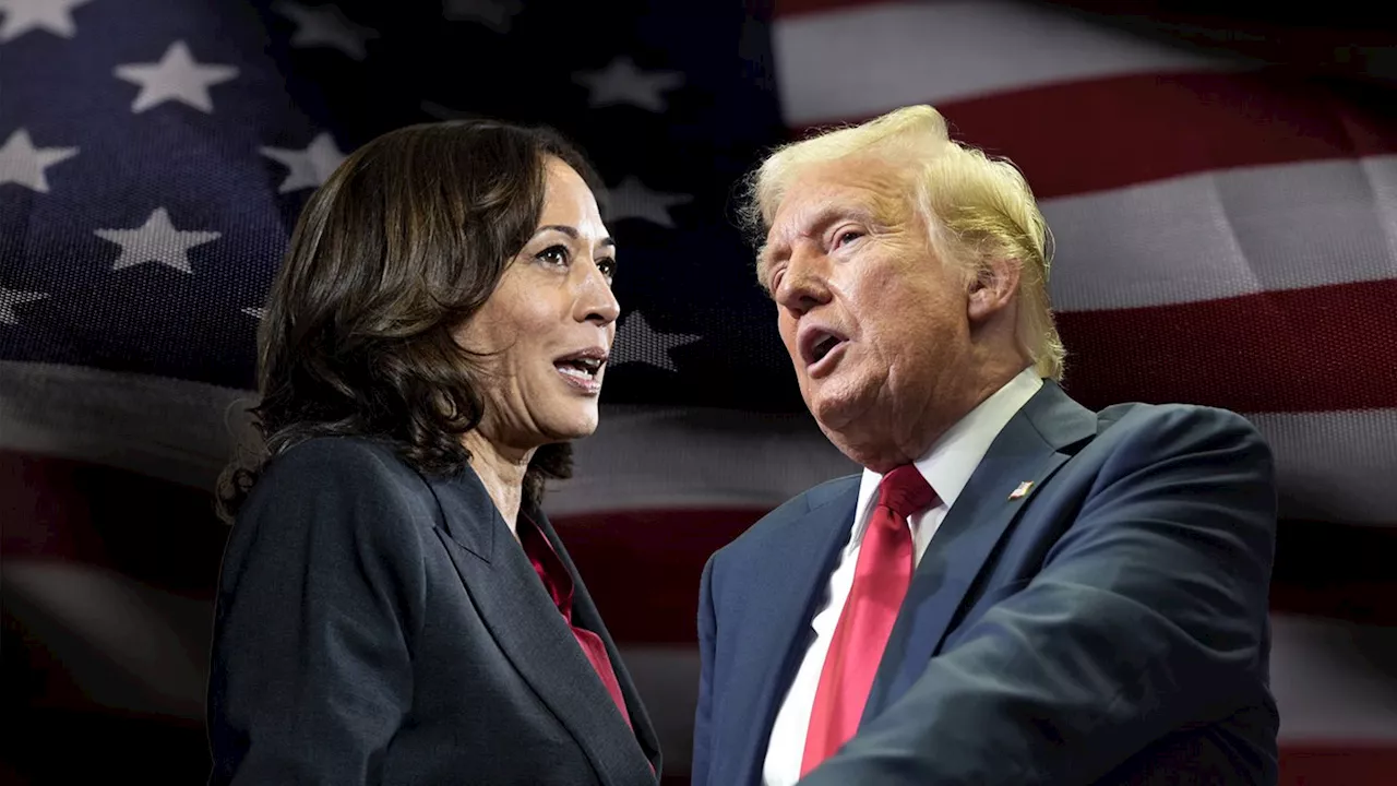 US-Wahl: Demokraten wollen Kamala Harris virtuell zur Kandidatin wählen