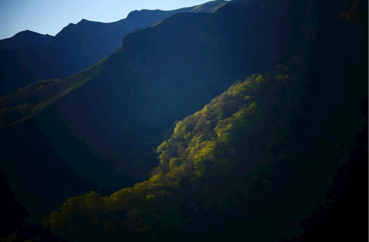  Dans les forêts emblématiques du Sud Ouest