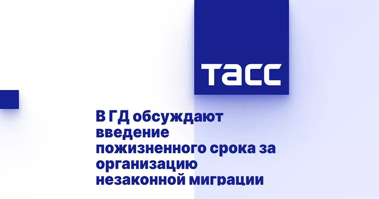 В ГД обсуждают введение пожизненного срока за организацию незаконной миграции