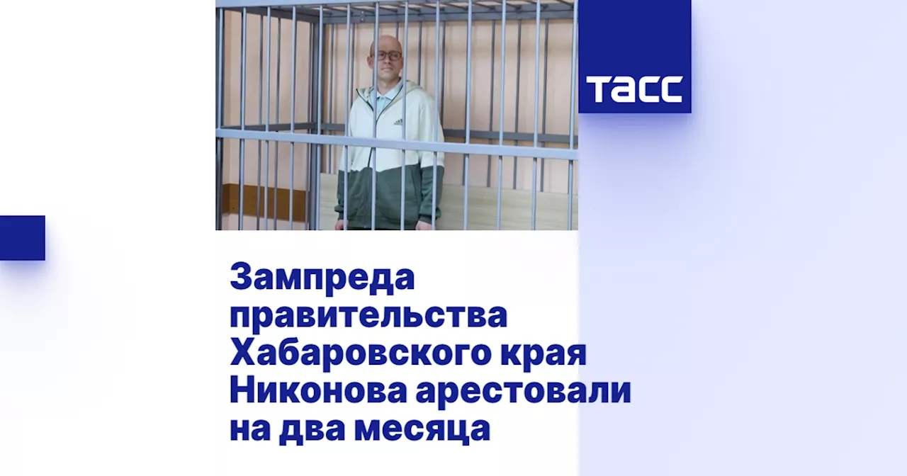 Зампреда правительства Хабаровского края Никонова арестовали на два месяца