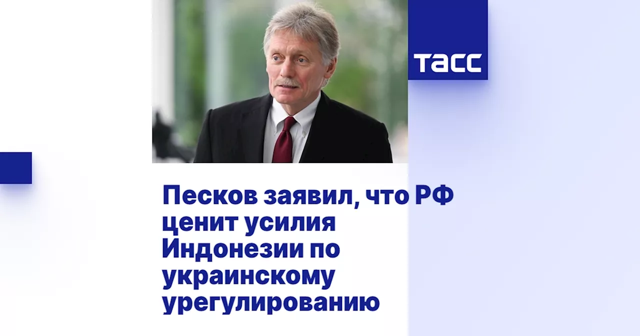 Песков заявил, что РФ ценит усилия Индонезии по украинскому урегулированию