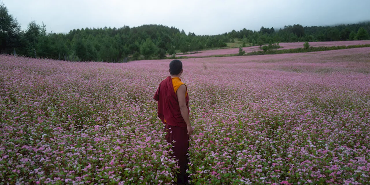 Seltener Spielfilm aus Bhutan: Wählen üben mit Rot, Gelb und Blau