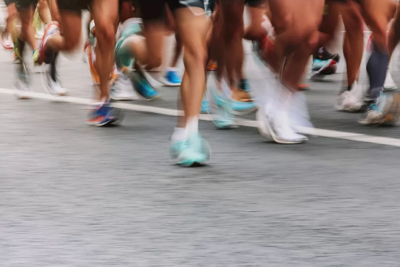 Festival de Verano en Bogotá: conozca las actividades deportivas que se realizarán