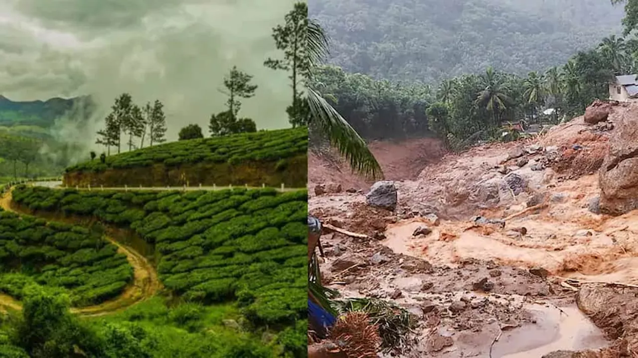 வயநாட்டின் நிலைமை ஊட்டிக்கும் வரலாம்... எச்சரிக்கும் வல்லுநர்கள்