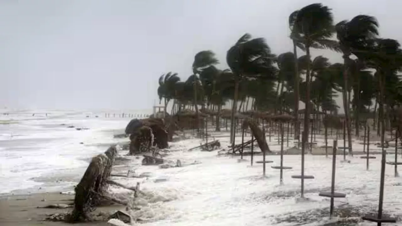 Heavy Rain In Kerala: ഇടതടവില്ലാതെ മഴപ്പെയ്ത്ത്; നാല് ജില്ലകളിൽ റെഡ് അലർട്ട്