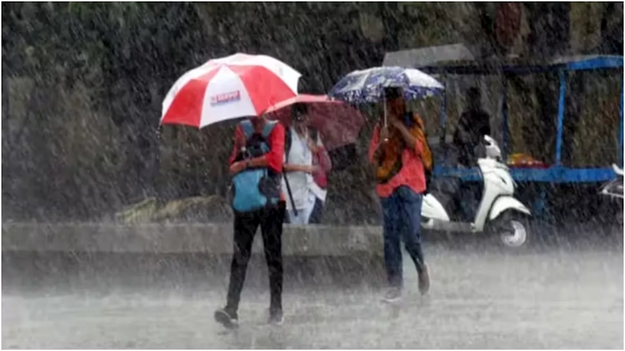 Kerala School Holidays: കേരളത്തിൽ അതിശക്തമായ മഴയ്ക്ക് സാധ്യത; 10 ജില്ലകളിലെ വിദ്യാഭ്യാസ സ്ഥാപനങ്ങൾക്ക് അവധി