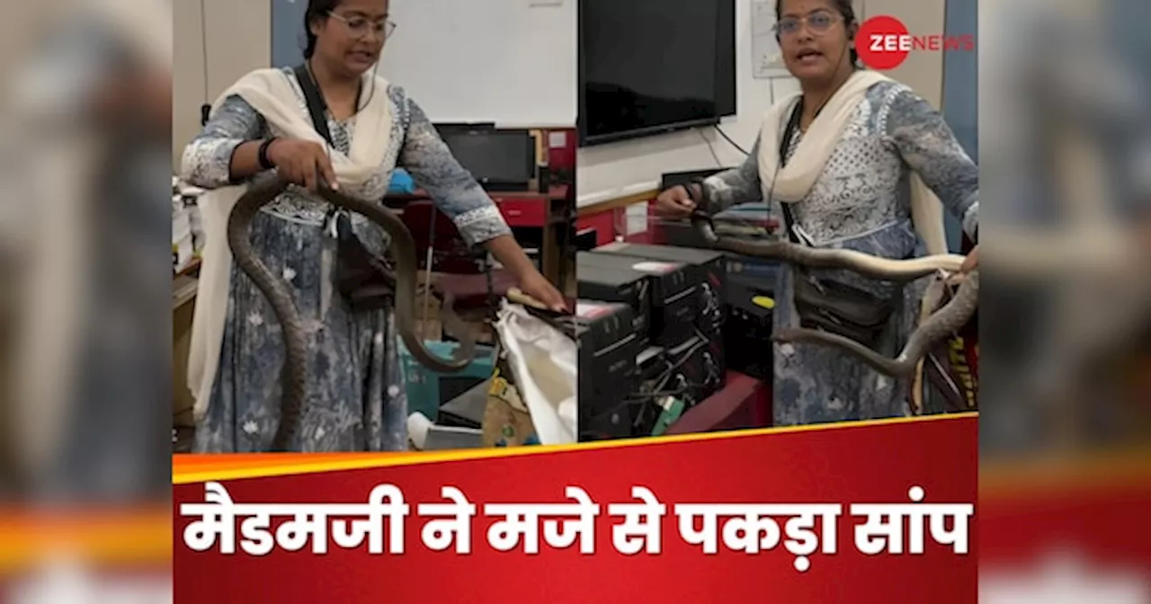 Video: ऐसा लगा कंप्यूटर ठीक करने आई हैं मैडम साहिबा, लेकिन चुटकी बजाते एक हाथ से पकड़ा खतरनाक सांप