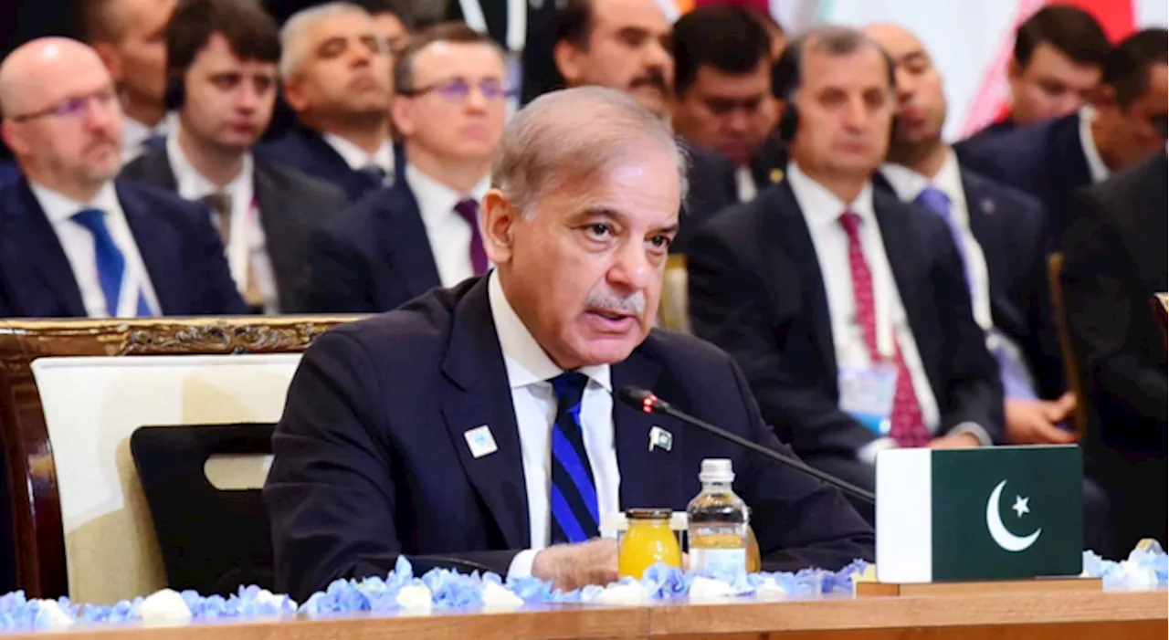 PM Shehbaz vows to strengthen SCO, urges efforts for peace