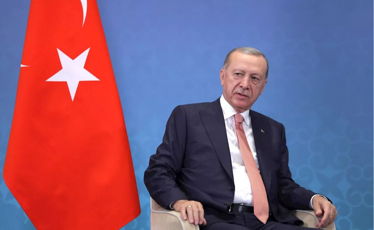 إردوغان سيحضر مباراة تركيا وهولندا رغم تفاقم الخلافات السياسية