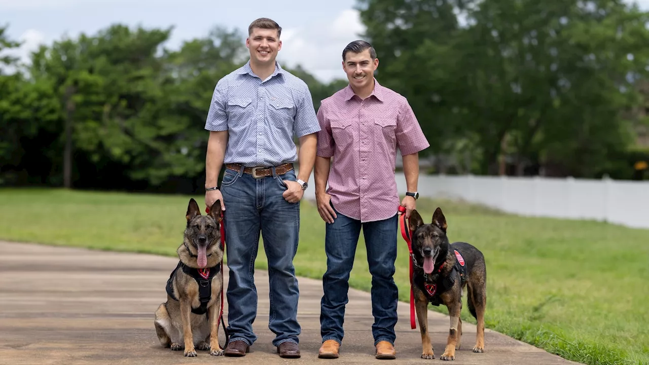 Retired military dogs reunite with their former Marine Corps handlers after years apart