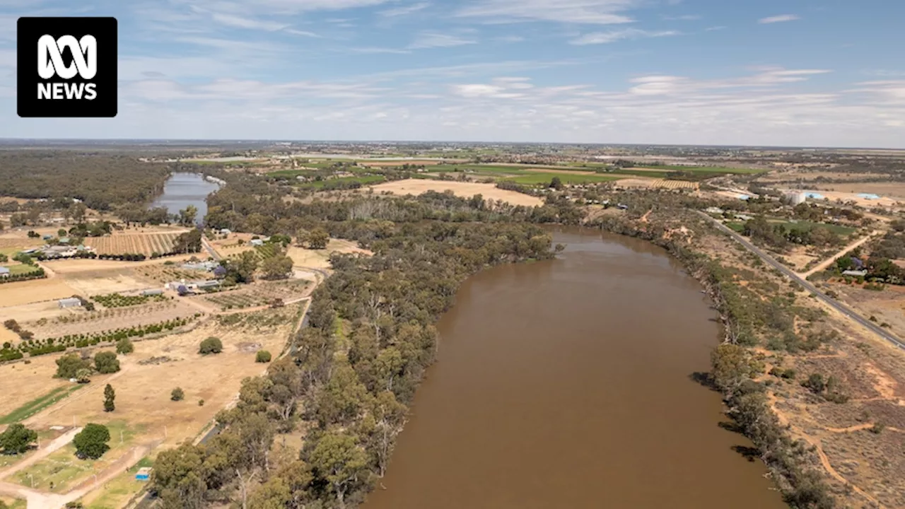 Government goes to tender on major water buybacks to help envrionment in Murray-Darling Basin