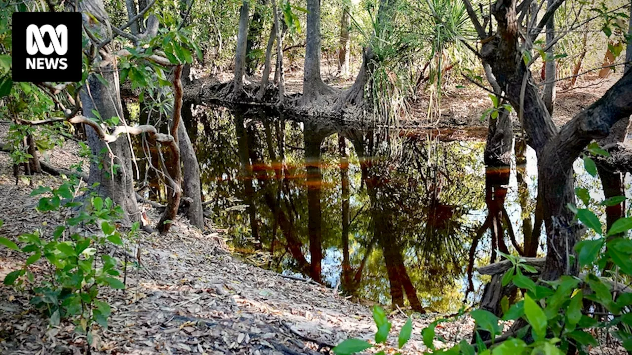 Human remains found during search for missing girl feared taken by crocodile in remote NT creek