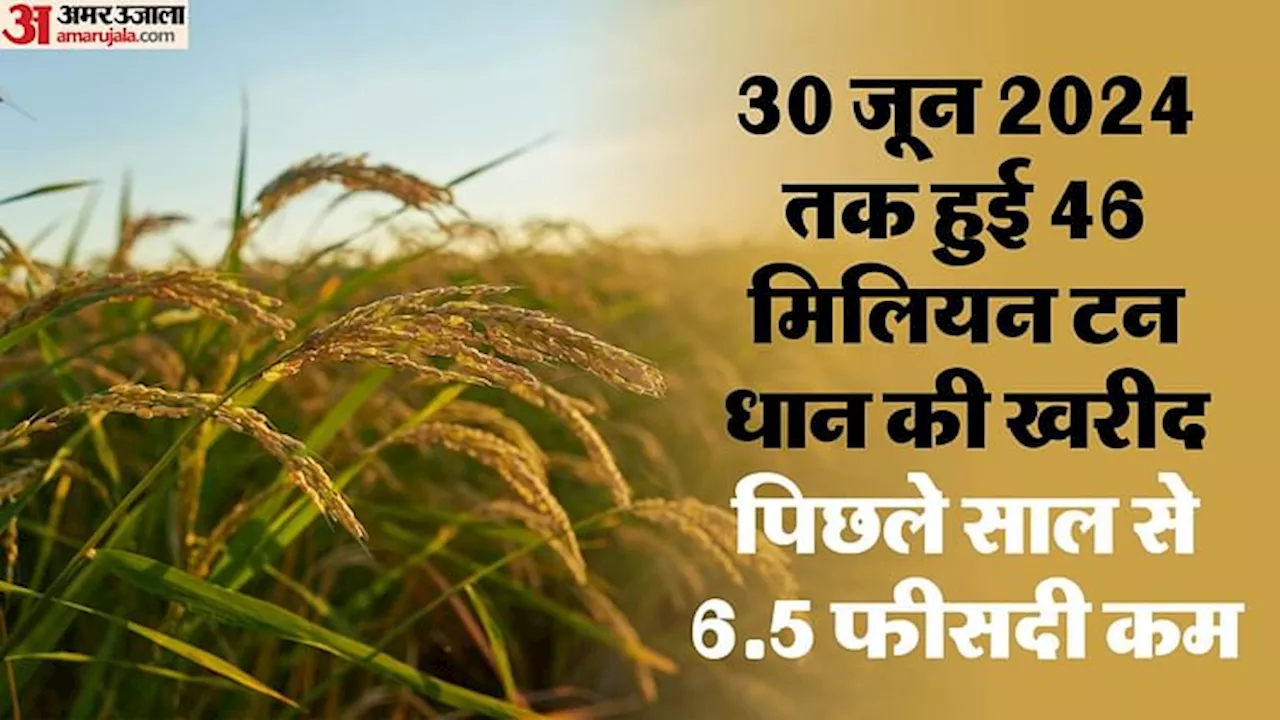 Kharif Procurement: बाजार में अधिक चावल उतारने का विकल्प देख रही सरकार, कम उत्पादन के बाद ऐसे भरपाई!