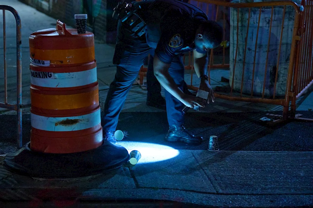 Violence in the Bronx leaves man shot dead, another with head trauma: cops