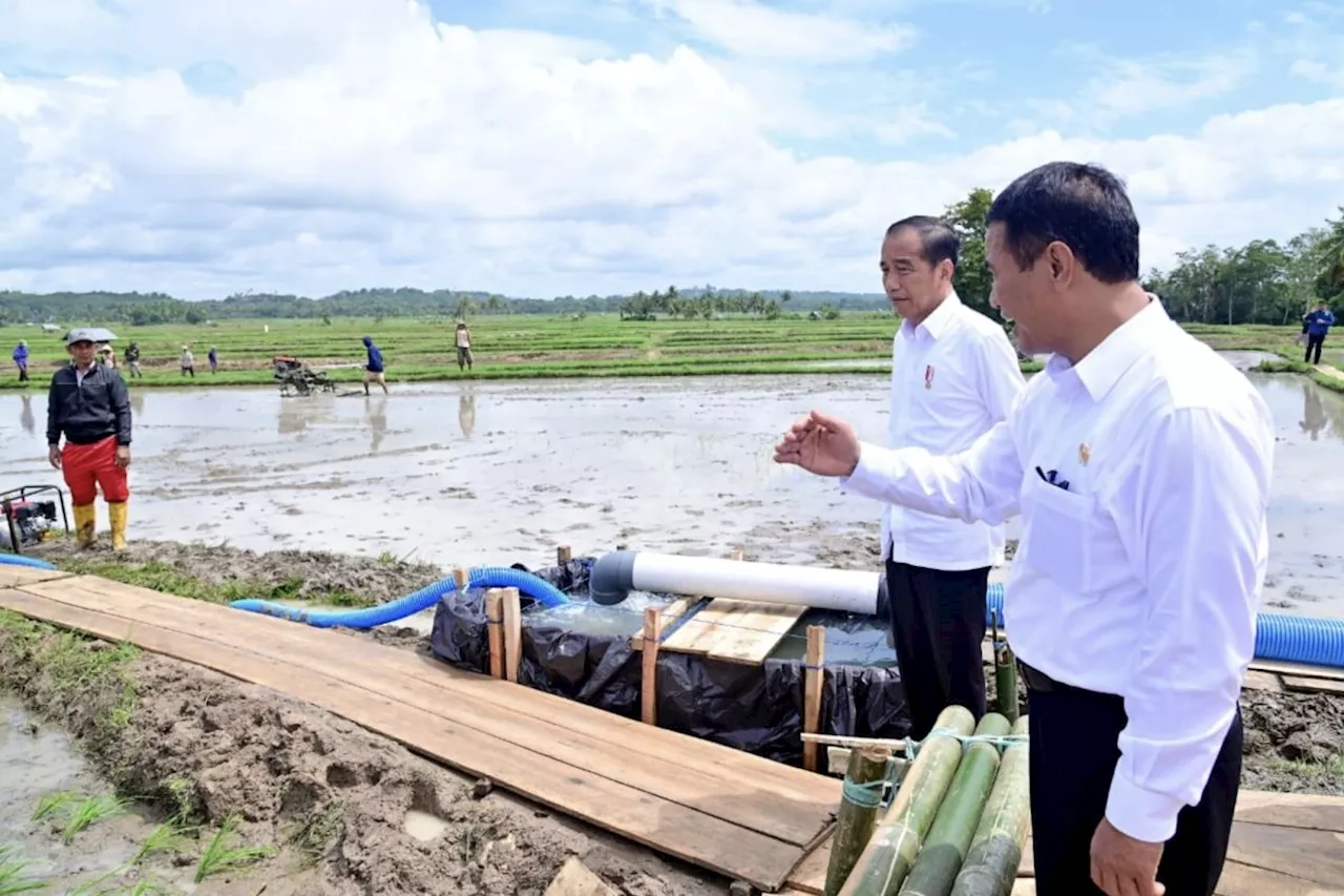 Ekonomi kemarin, upaya jaga ketahanan pangan hingga soal fungsi APBN