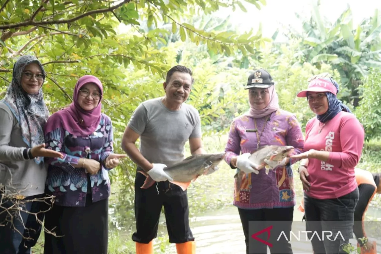 Kelompok Tani Kelurahan Setu panen ikan sebanyak 50 Kg