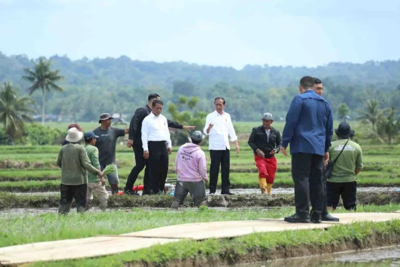 Mentan dampingi Presiden pastikan pertanian di Sulsel berjalan baik