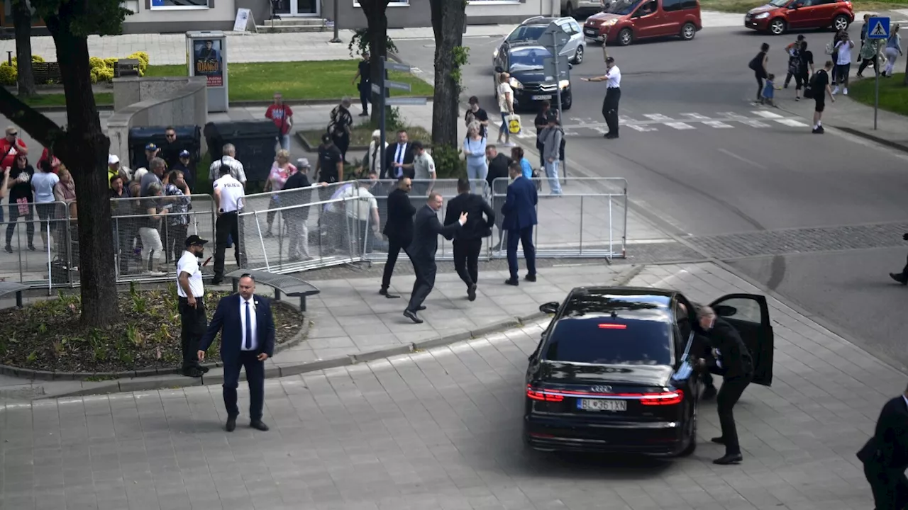 The suspect in the attempted assassination of Slovakia's prime minister now faces terror charges