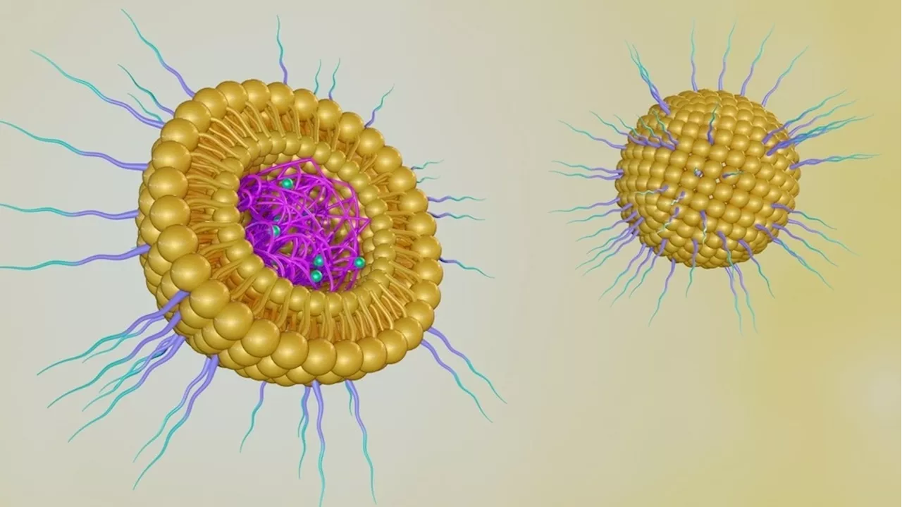 How are Nanoparticles Used for Drug Delivery?