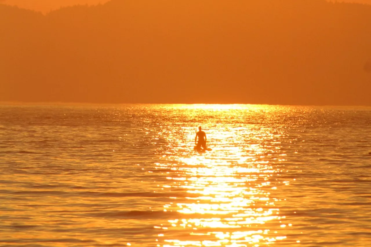 Incoming heat triggers special weather statement for Metro Vancouver, Fraser Valley