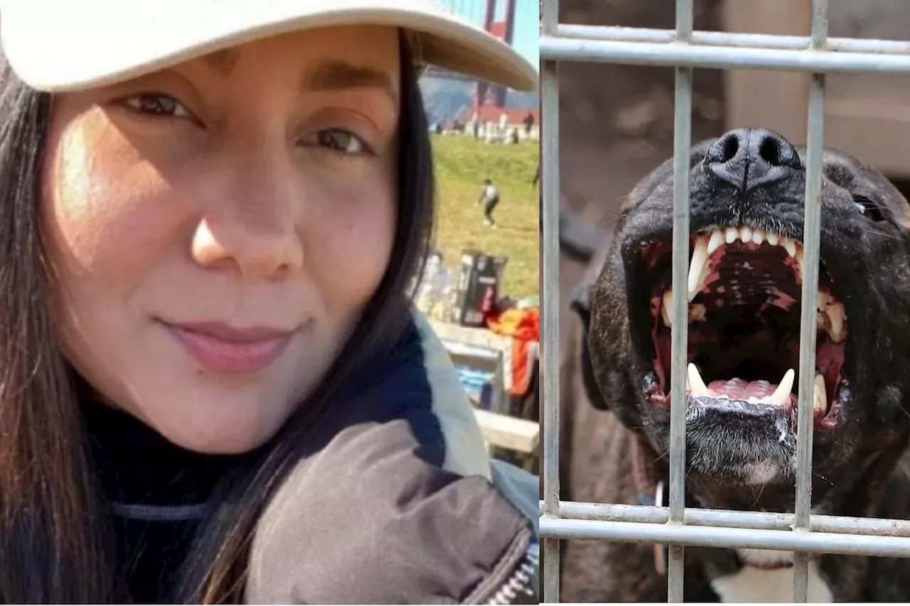 Madre De Joven Atacada Por Perros En Ee Uu Logra Permiso Humanitario Para Visitarla Colombia