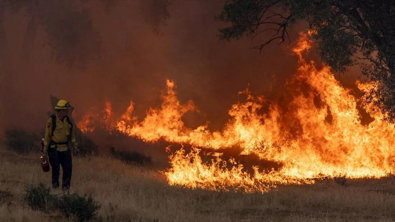 Etats-Unis : les images effrayantes du violent incendie qui ravage la Californie