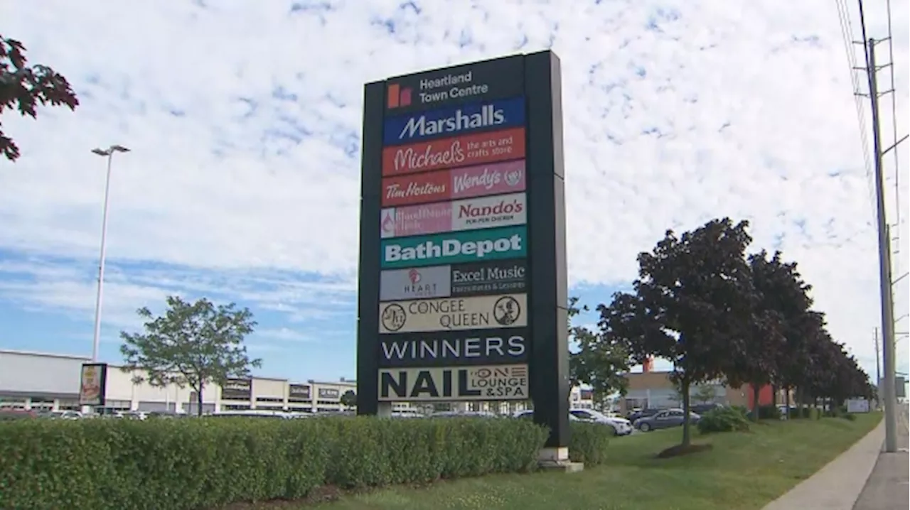 3 suspects at-large after woman, child carjacked at Heartland Town Centre