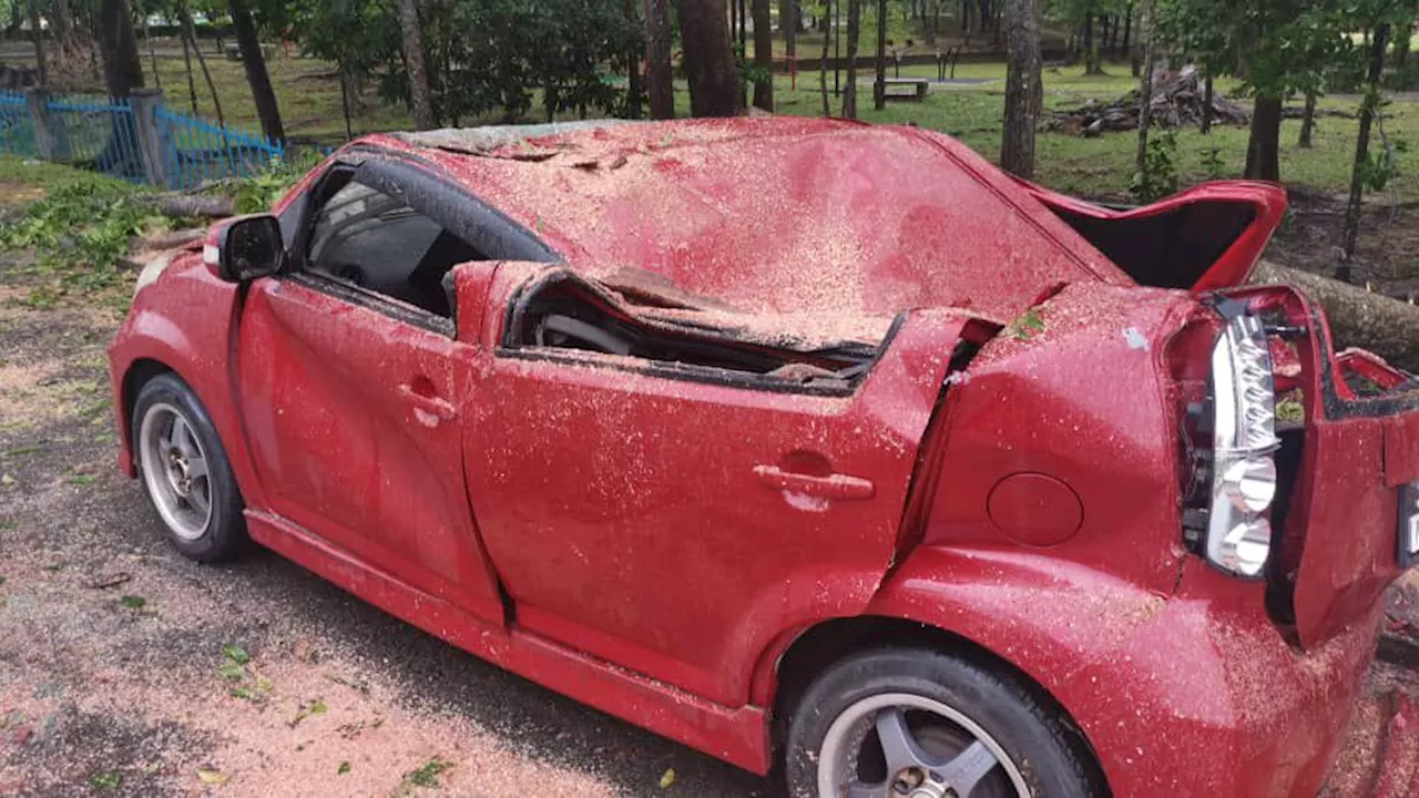 Myvi, house damaged by fallen trees