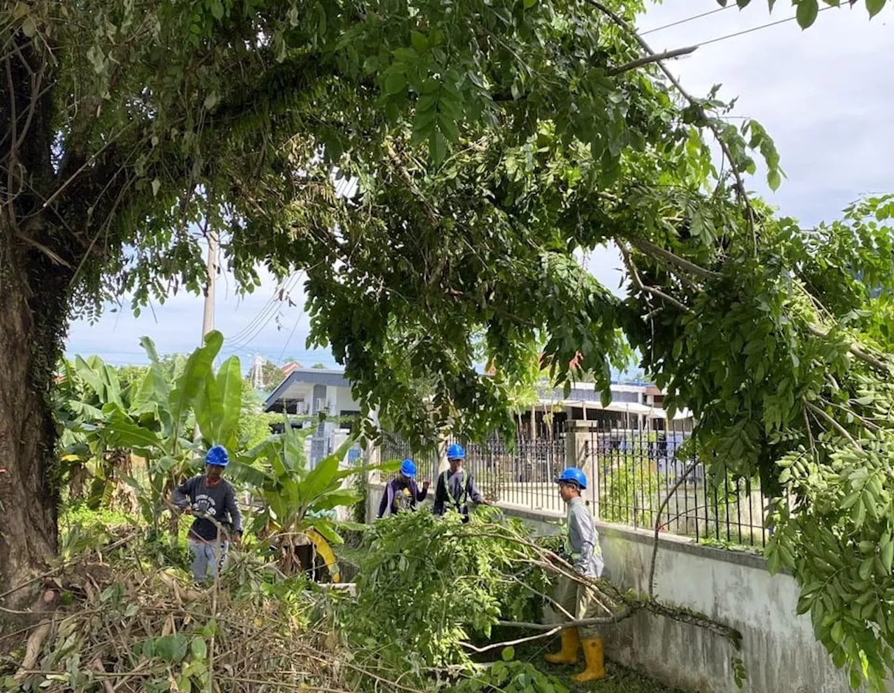 Sabah Electricity Sdn Bhd stepping up checks on power lines in Sandakan