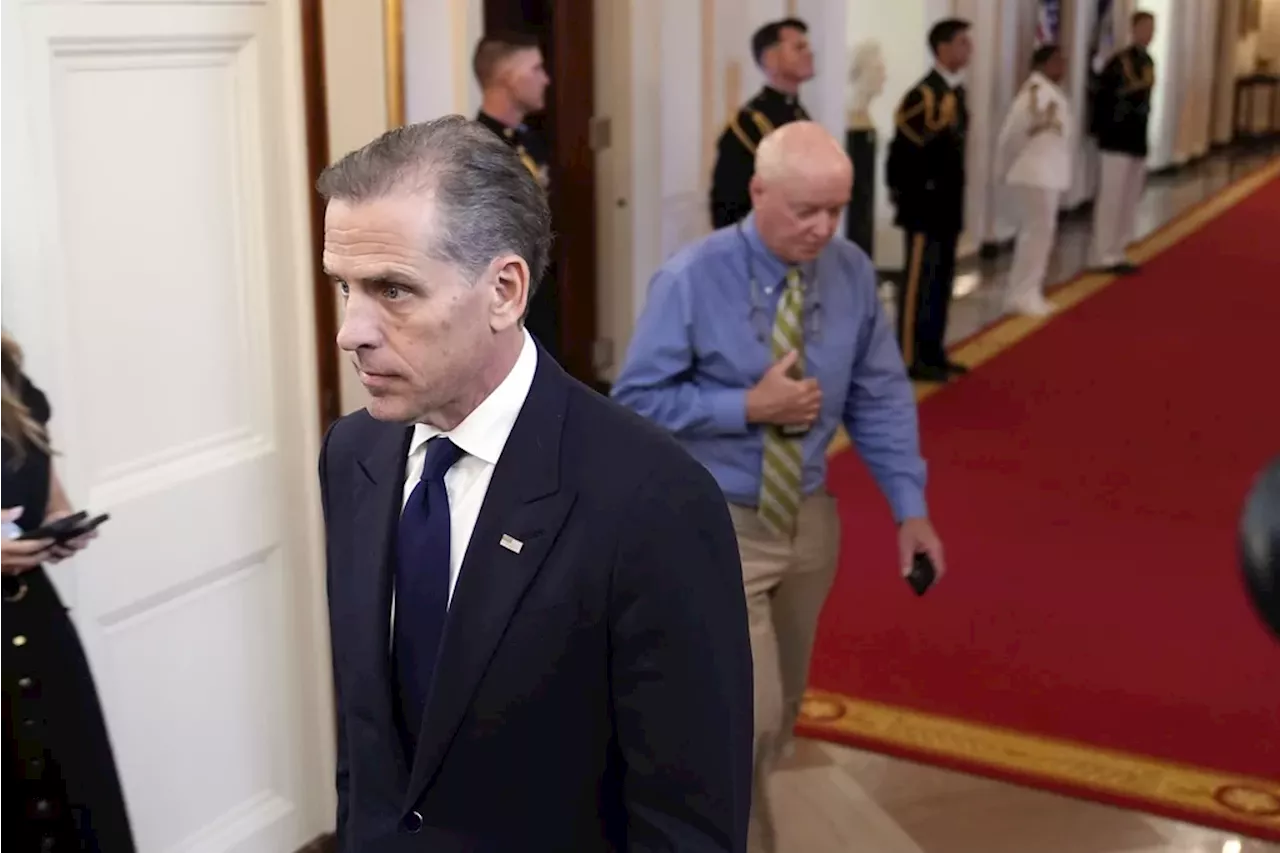 Hunter Biden’s White House meetings prompt House Intelligence inquiry: ‘It is disturbing’