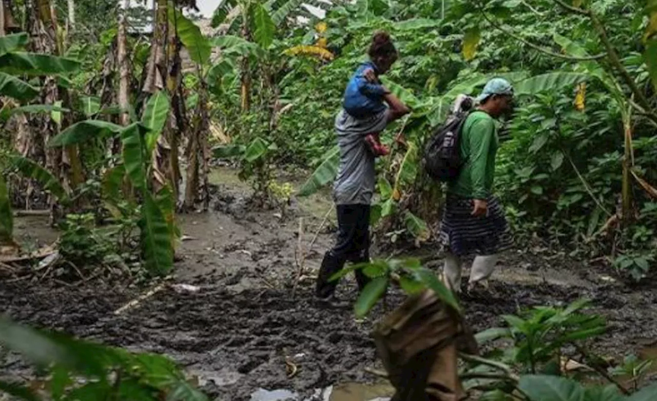 Panamá cerró pasos fronterizos en el Tapón del Darién con alambre de púas