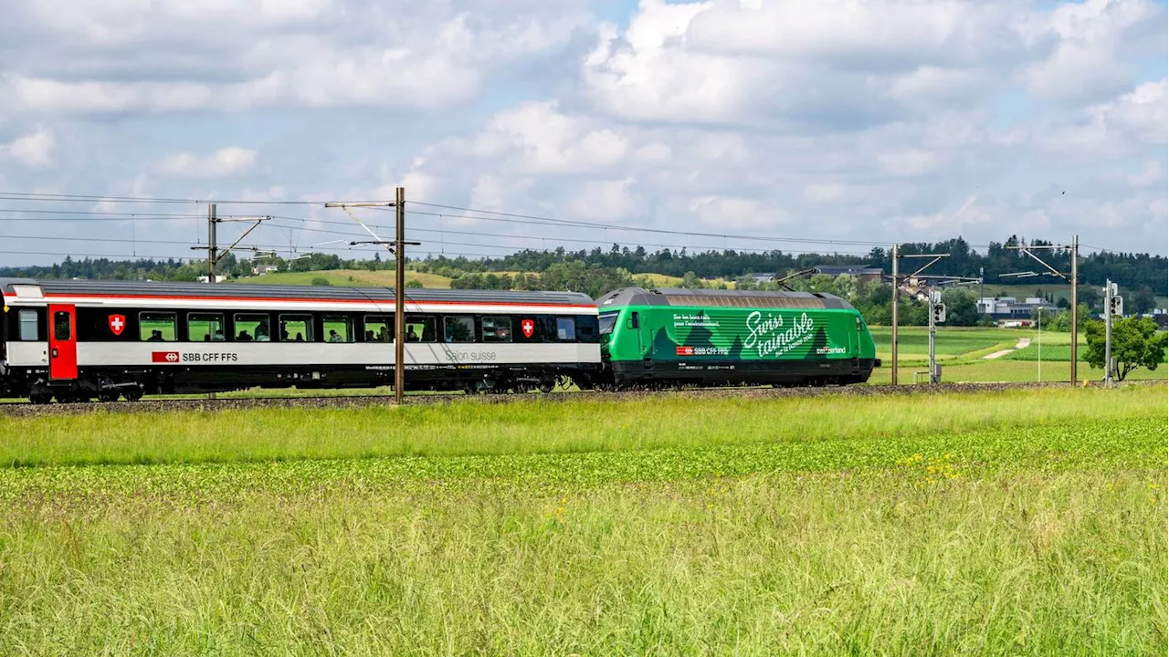 Diese nachhaltigen Reisen führen dich in die Natur