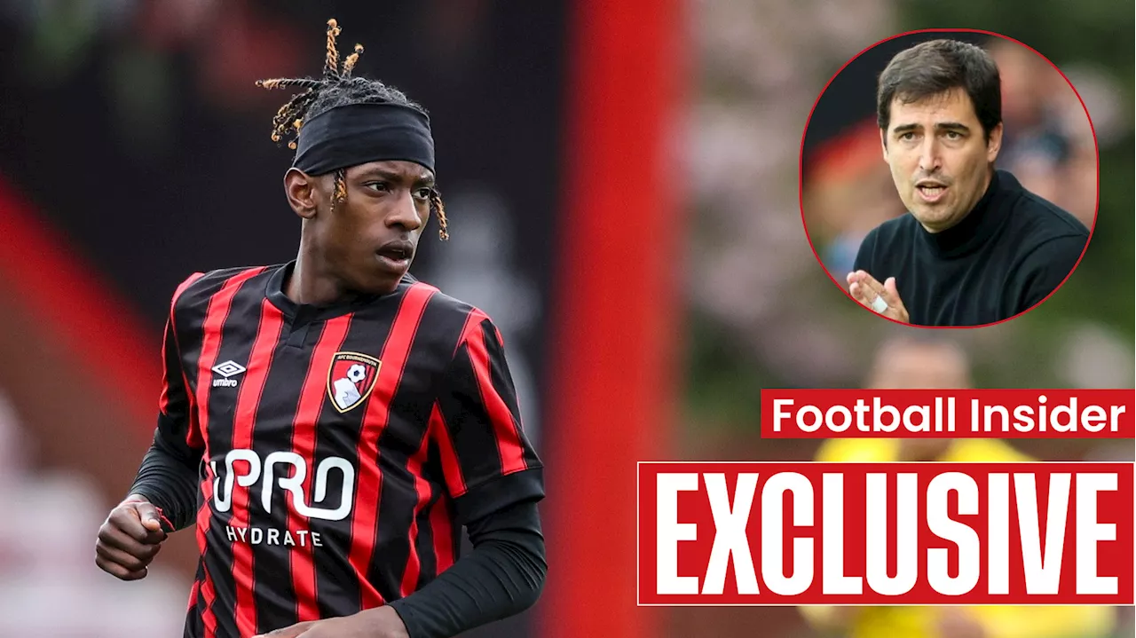 Bournemouth star Michael Dacosta Gonzalez agrees Crawley move