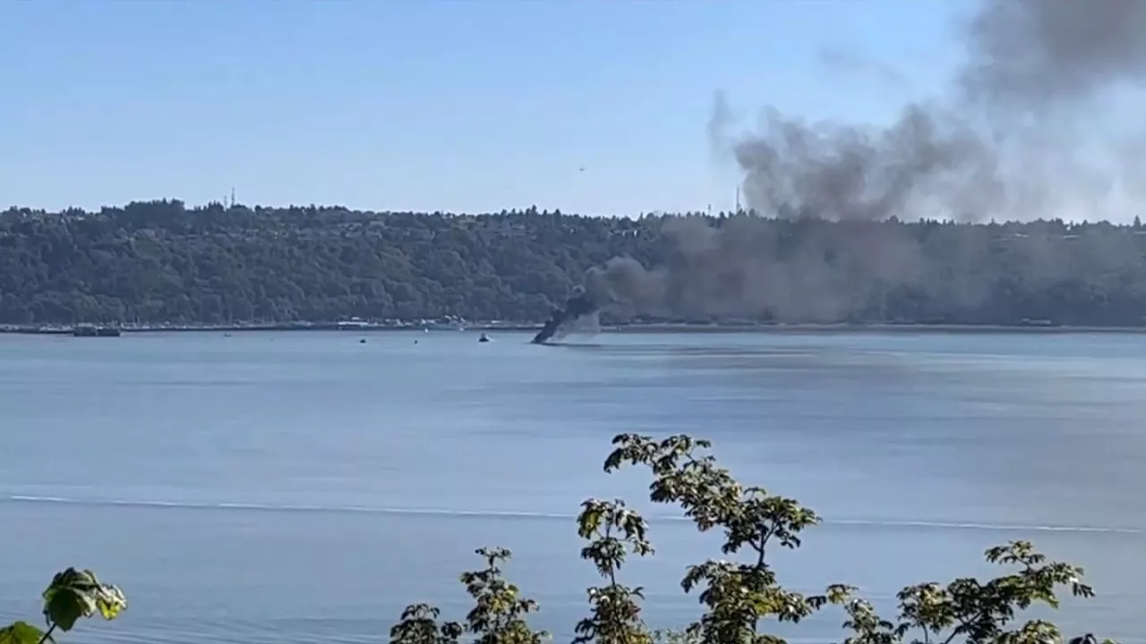 2 people, cat jump into water to escape boat fire in Tacoma