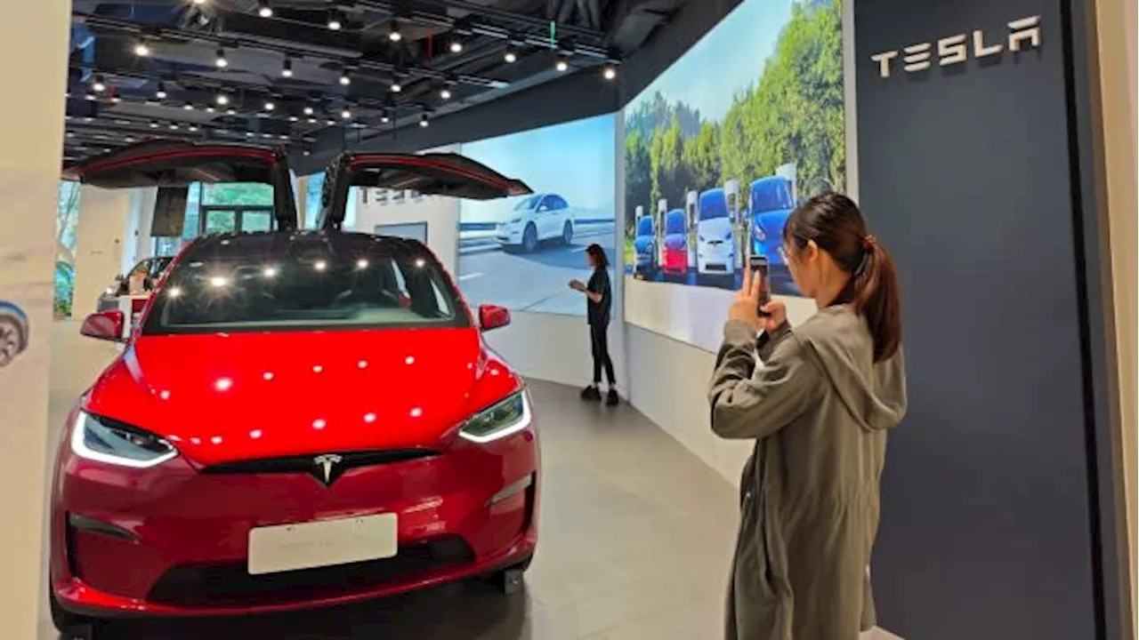 Tesla cars put on local Chinese government’s purchase list for first time